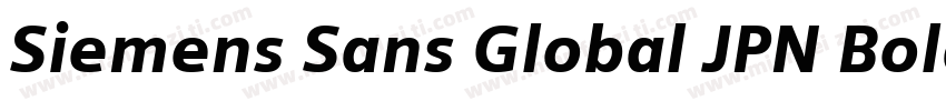 Siemens Sans Global JPN Bold Italic字体转换